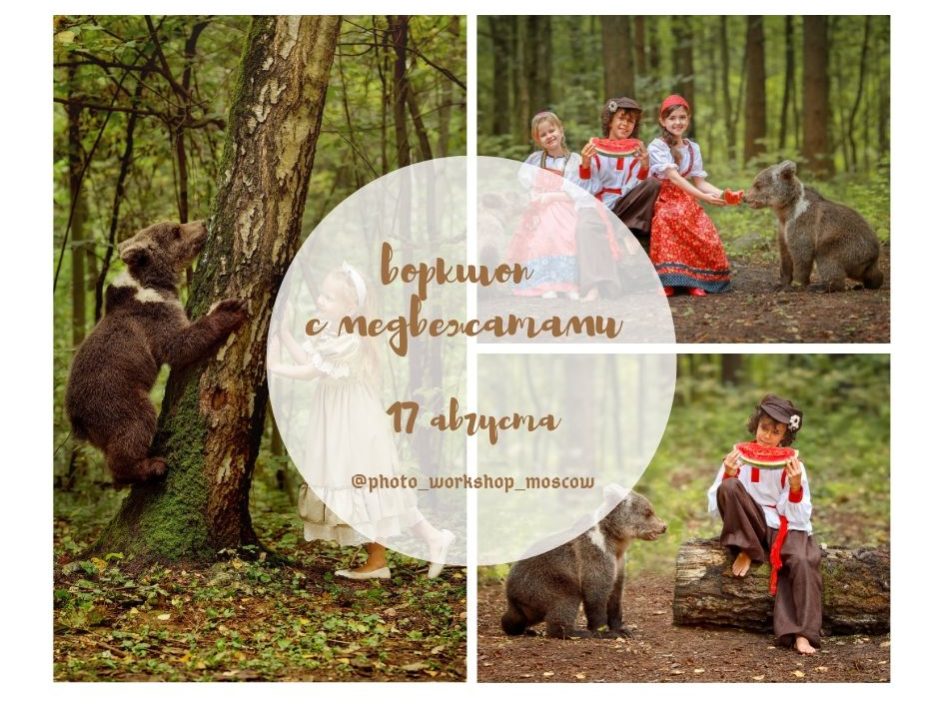Воркшопы 14