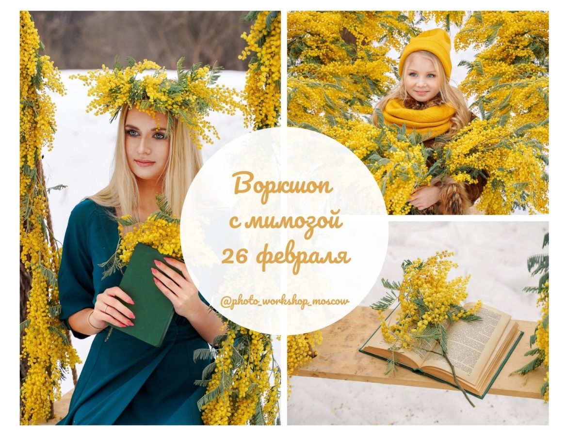 мимоза
