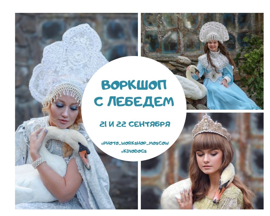 Воркшоп — 16